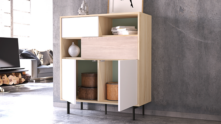 Teo Storage Cabinet with 2 drawers ZD009