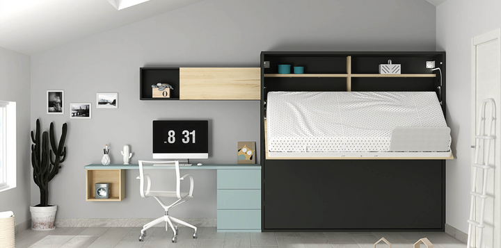 Valencia Vistas Murphy Bed CA008